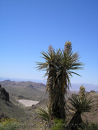 Sitgreaves Pass, AZ - View