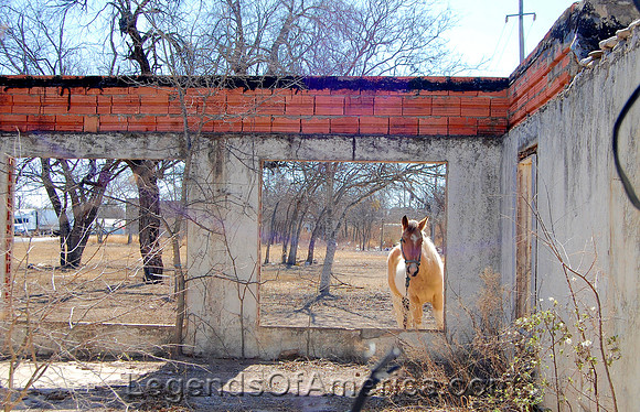Quemado, TX - Horse House