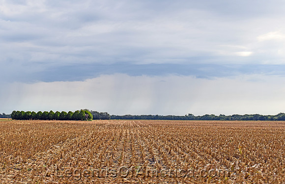Bridgeport, KS - Freshly Cut Field