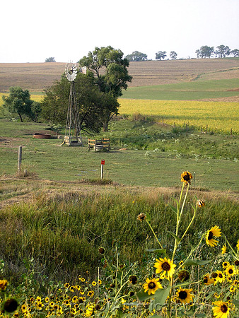 Nebraska Farm - 2