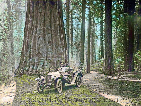 Sequoia National Park, CA - First Automobile