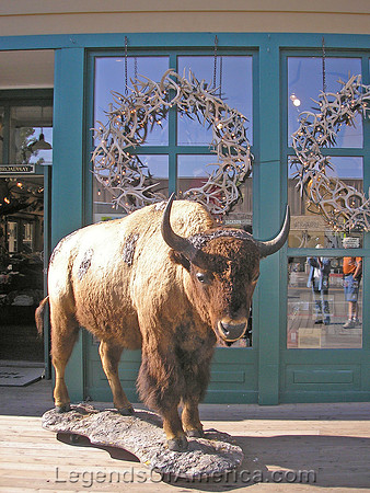 Jackson, WY - Mercantile Buffalo