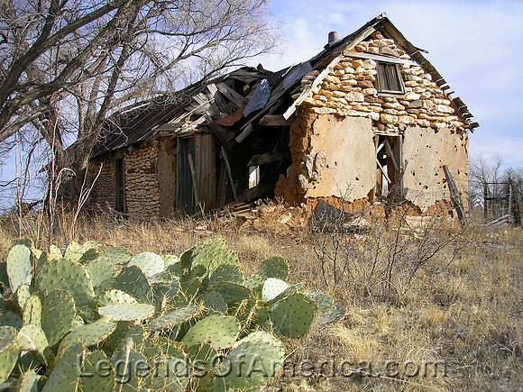 Yeso, NM - House Cactus