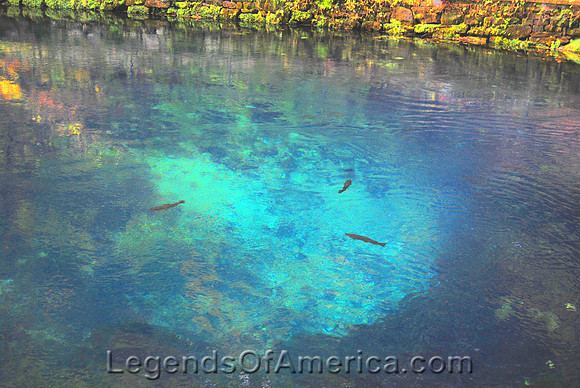 Maramec Spring Park, MO - Spring - 2