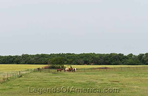 Smolan, KS - Area Horses