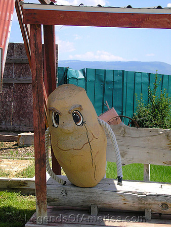 Driggs, ID - Big Potato