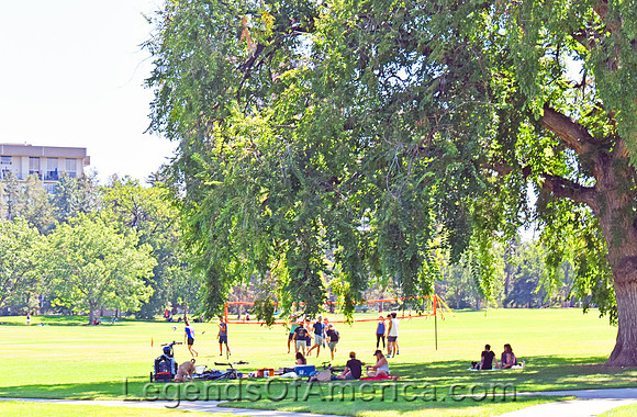 Denver, CO - Cheeseman Park - 2