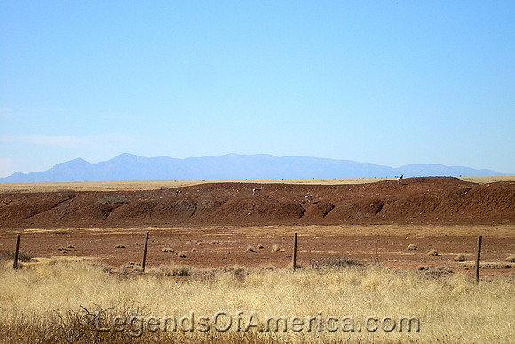 Roswell, NM - Area Antelope