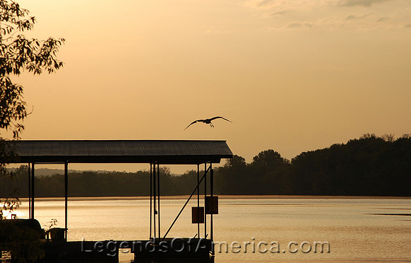 Lake of the Ozarks - May Morning Heron