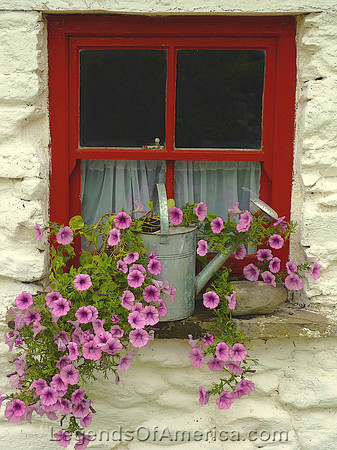 Window and Flower Box