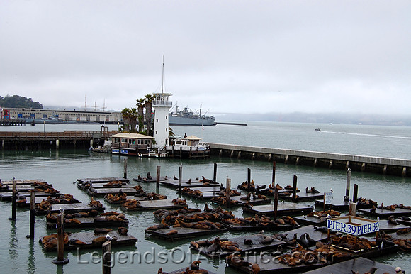 San Francisco, CA - Pier 39