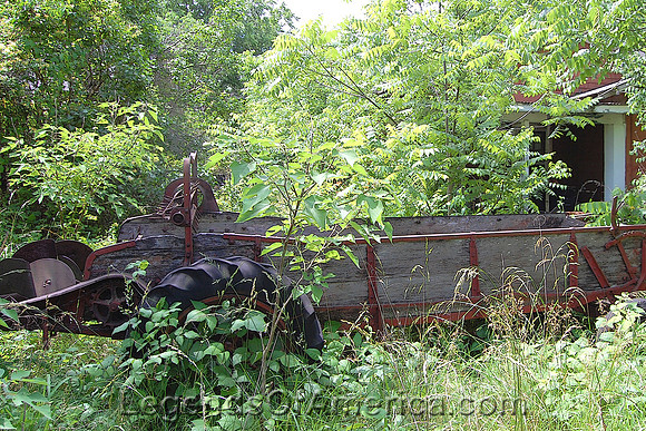 Mildred, KS - Wagon in the Weeds