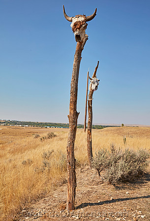 Crow Agency CommunityMTLittle Bighorn Trading PostCarolHighsmith2022-3
