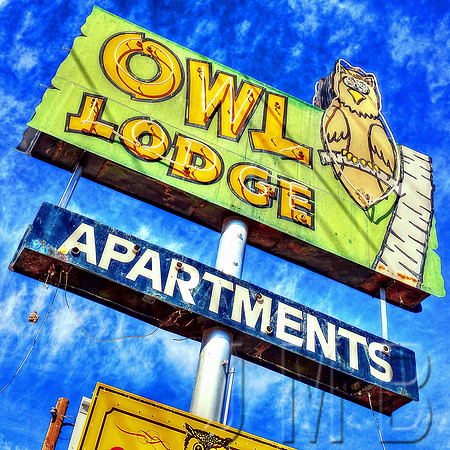 Tucson, AZ - Owl Lodge