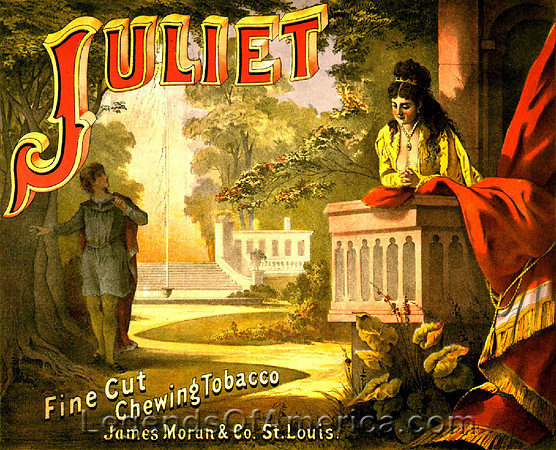 Juliet Chewing Tobacco, 1873