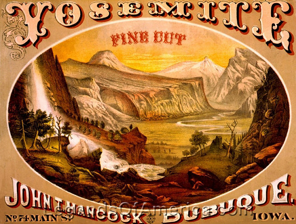 Yosemite Fine Cut, 1872