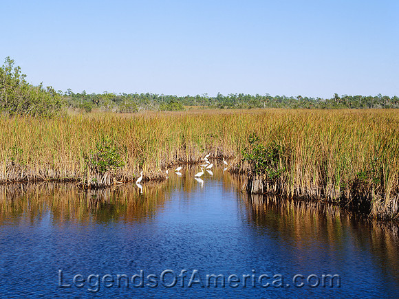 Everglades National Park, FL
