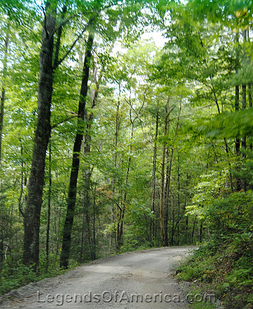 Smoky Mountain National Park, TN - Parson Branch Road