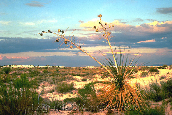 White Sands, NM - 2