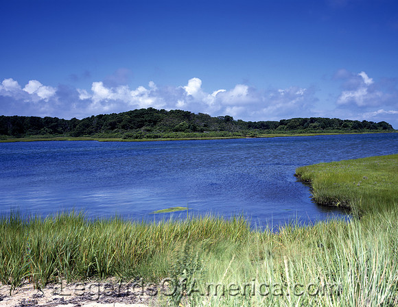 Beaufort, SC - Salt Marsh
