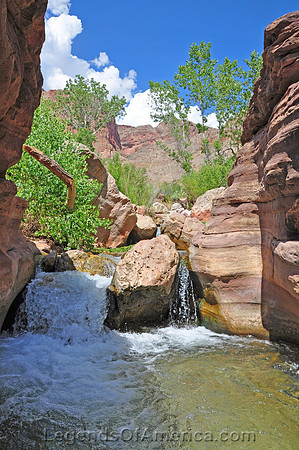 Grand Canyon, AZ - Deer Creek