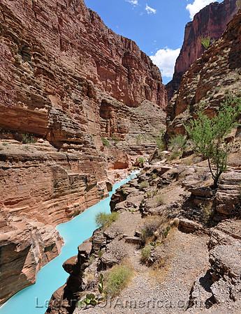 Grand Canyon, AZ - Havasu Creek