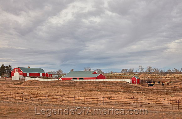 Ross, ND - Bright-red farm buildings