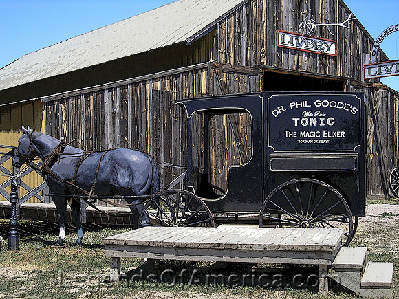 Livery & Medicine Show - Art