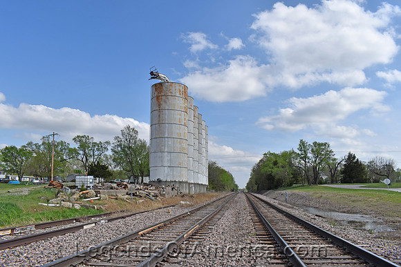 Fontana, KS - Silos & Railroad Tracks