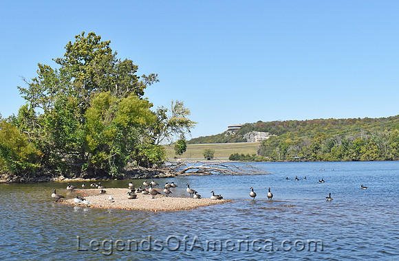 WarsawMO-LakeoftheOzarks-ducks-2
