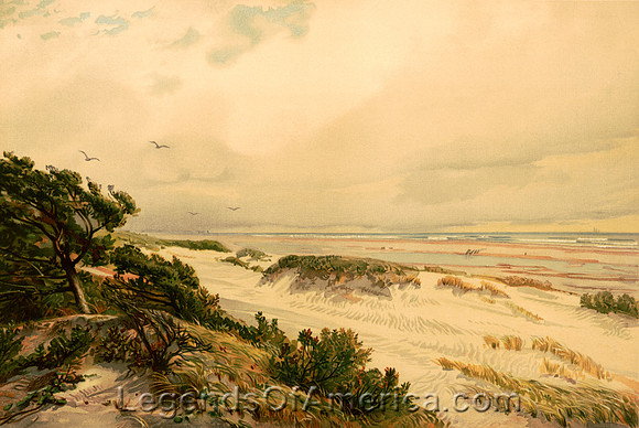 New Jersey Sand Hills, 1887