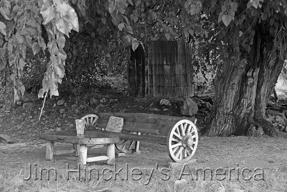Grand Canyon Ranch, AZ - Bench - B&W