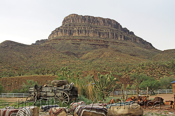 Grand Canyon Ranch,  AZ