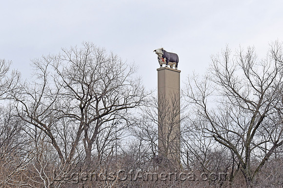 Kansas City, MO - Cow Statue