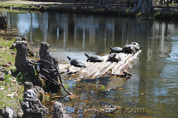 Lafayette - Acadian Village - "Turtle City"