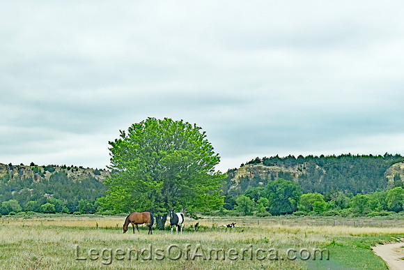 Ellis County, KS - C2T Ranch