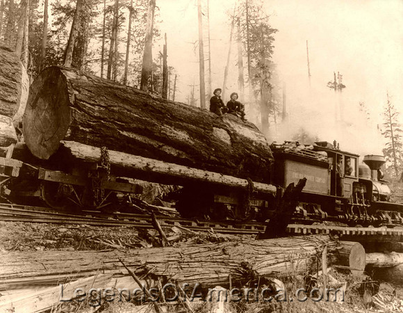Logging Train, WA - 1908