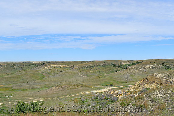 Ellis County, KS - Landscape - 4