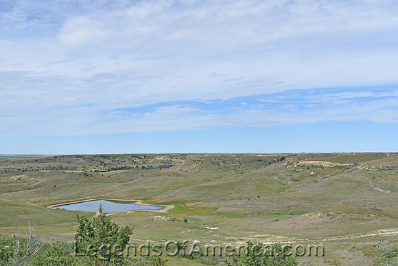 Ellis County, KS - Landscape - 5
