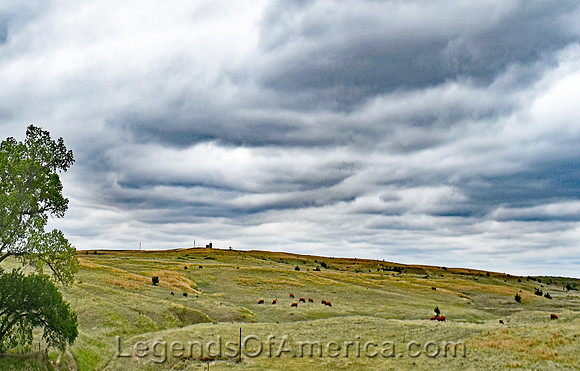 Rooks County, KS - Landscape - 3