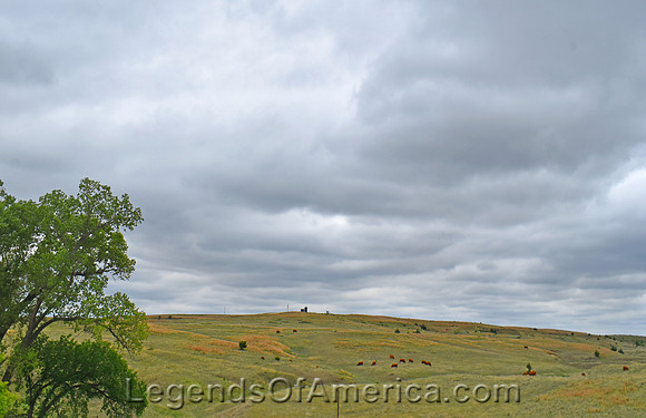 Rooks County, KS - Landscape - 2