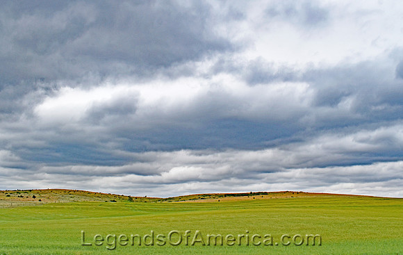 Rooks County, KS - Landscape - 6