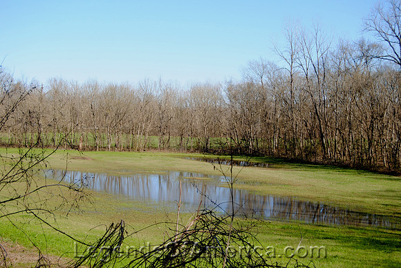 Edwards, MS - Big Black River Flood Plain