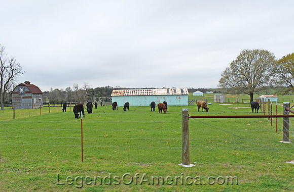 Washington, TX - Farm