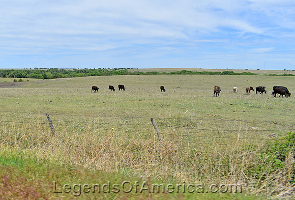 Mitchell County, KS - Landscape