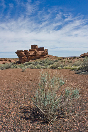Flagstaff, AZ - Wukoki Pueblo