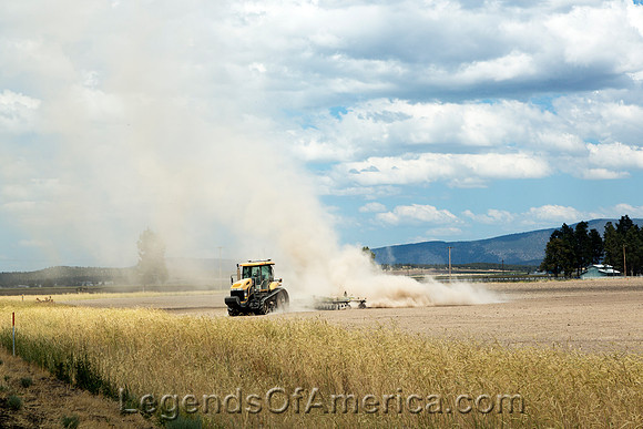 Northern California - Farming