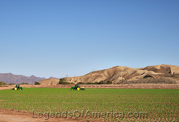 Yuma, AZ - Fertile Field