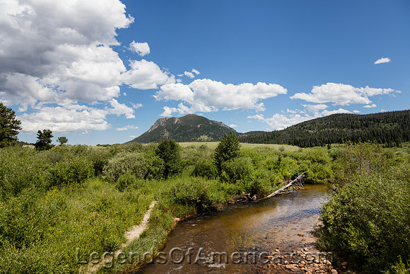 Rocky Mountain National Park, CO - Meadow Stream - 2