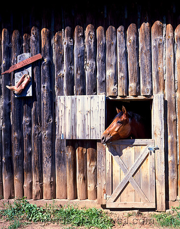 Sturgis, SD - Horse & Barn